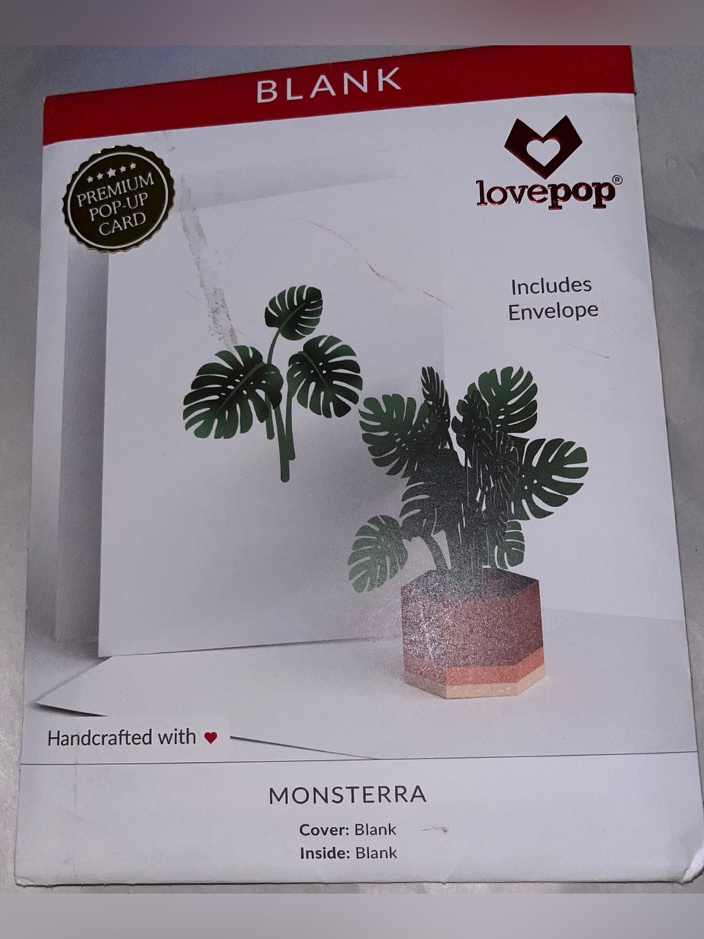 Lifestyle Bundle 2 - Picture 8 of 10